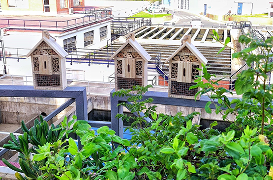 Foto de Mini hoteles de insectos en ETAP de Huelva