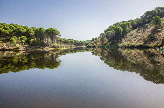 Embalse Beas norte